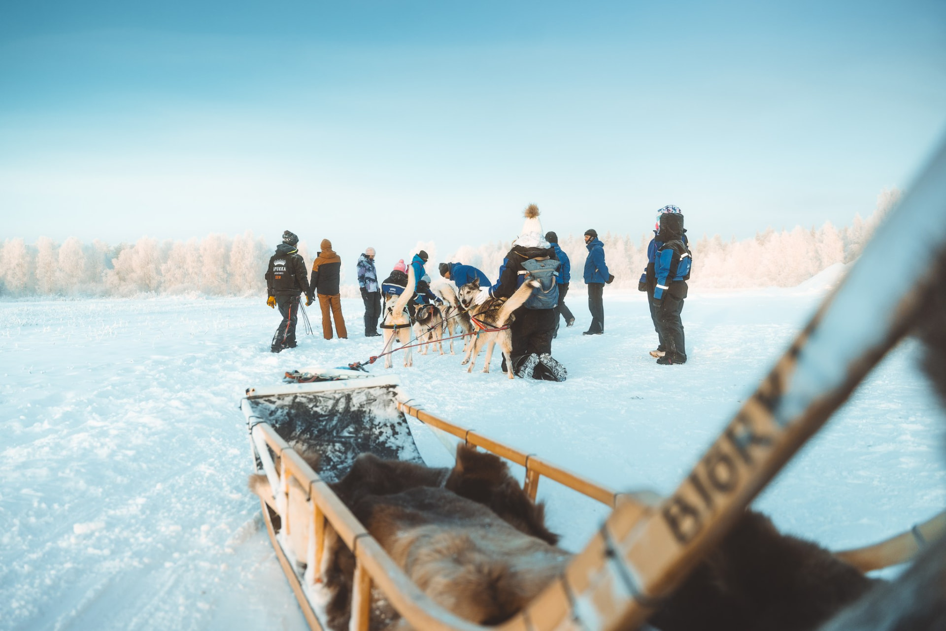A small group meeting the husky team on the open snow at Apukka