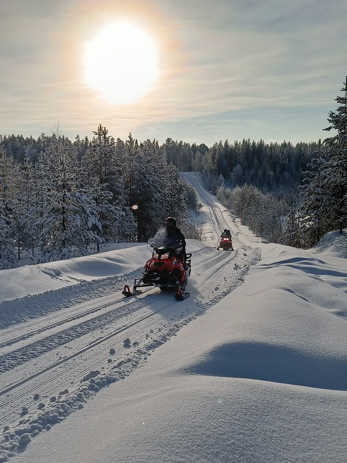 Snowmobiles on a forest trail under the low Lapland sun