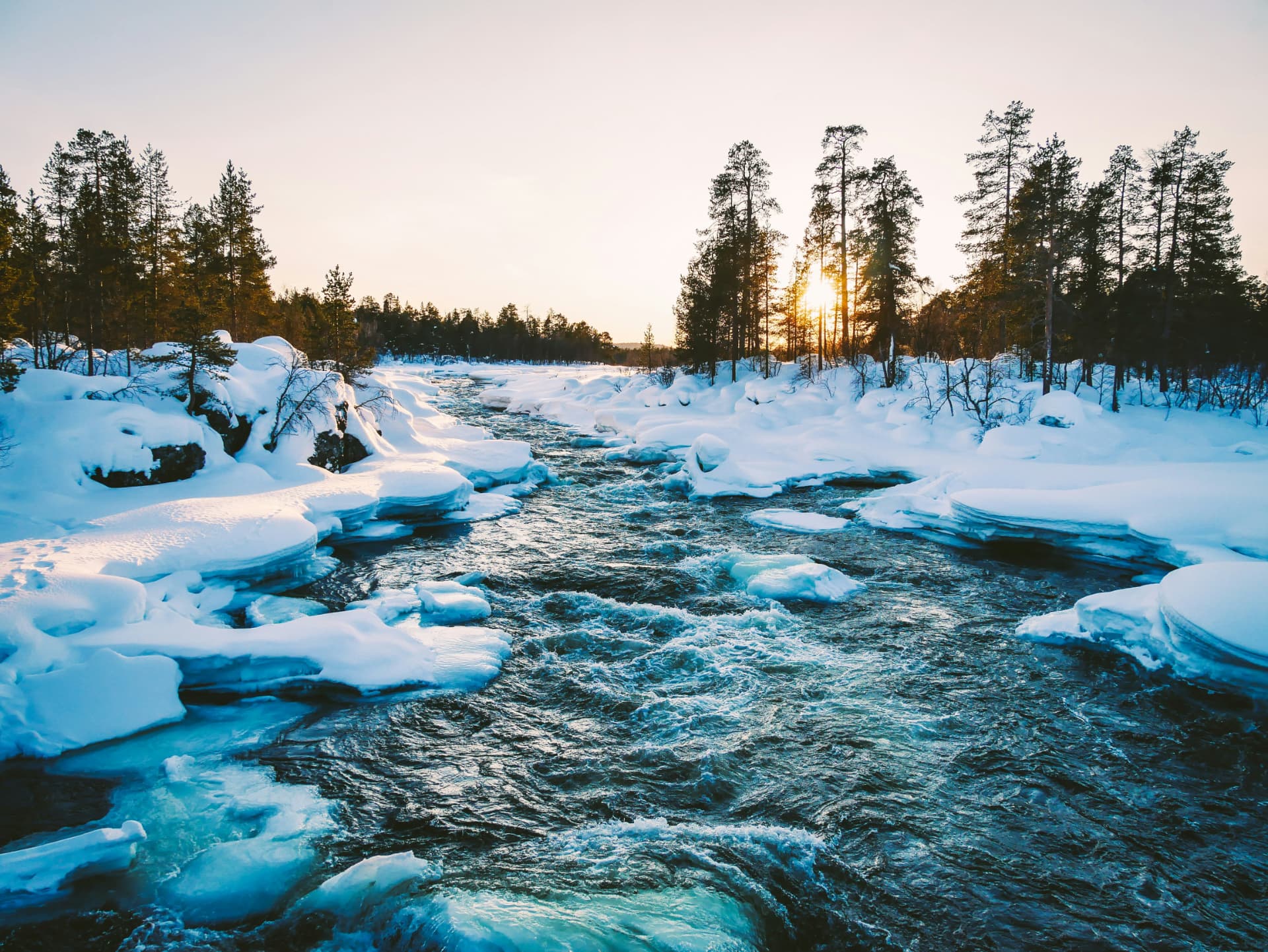 Open rapids running between snowbanks in a Lapland pine forest at sunset