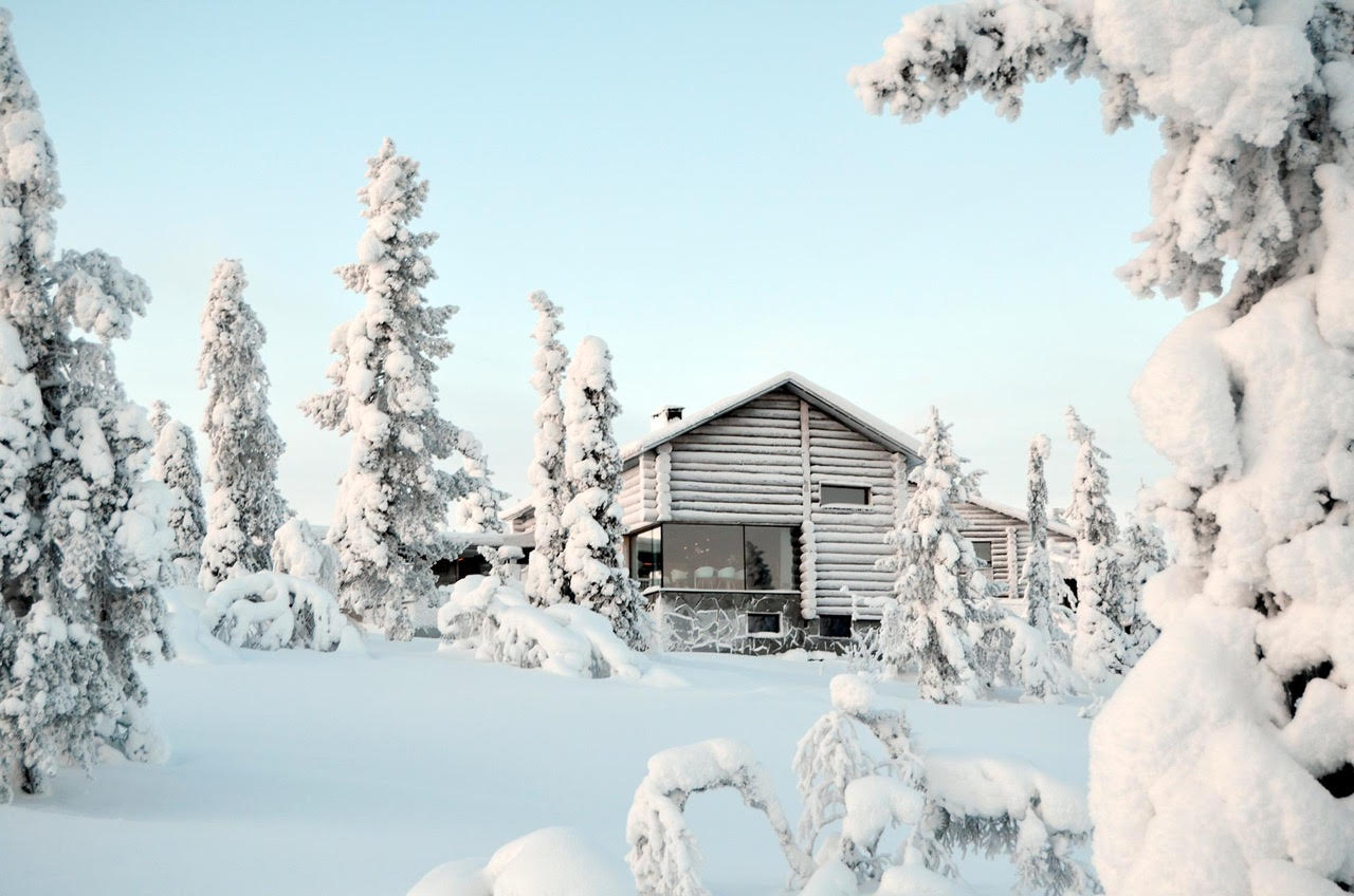 A log villa among snow-laden spruces on a Lapland fell in pale winter light